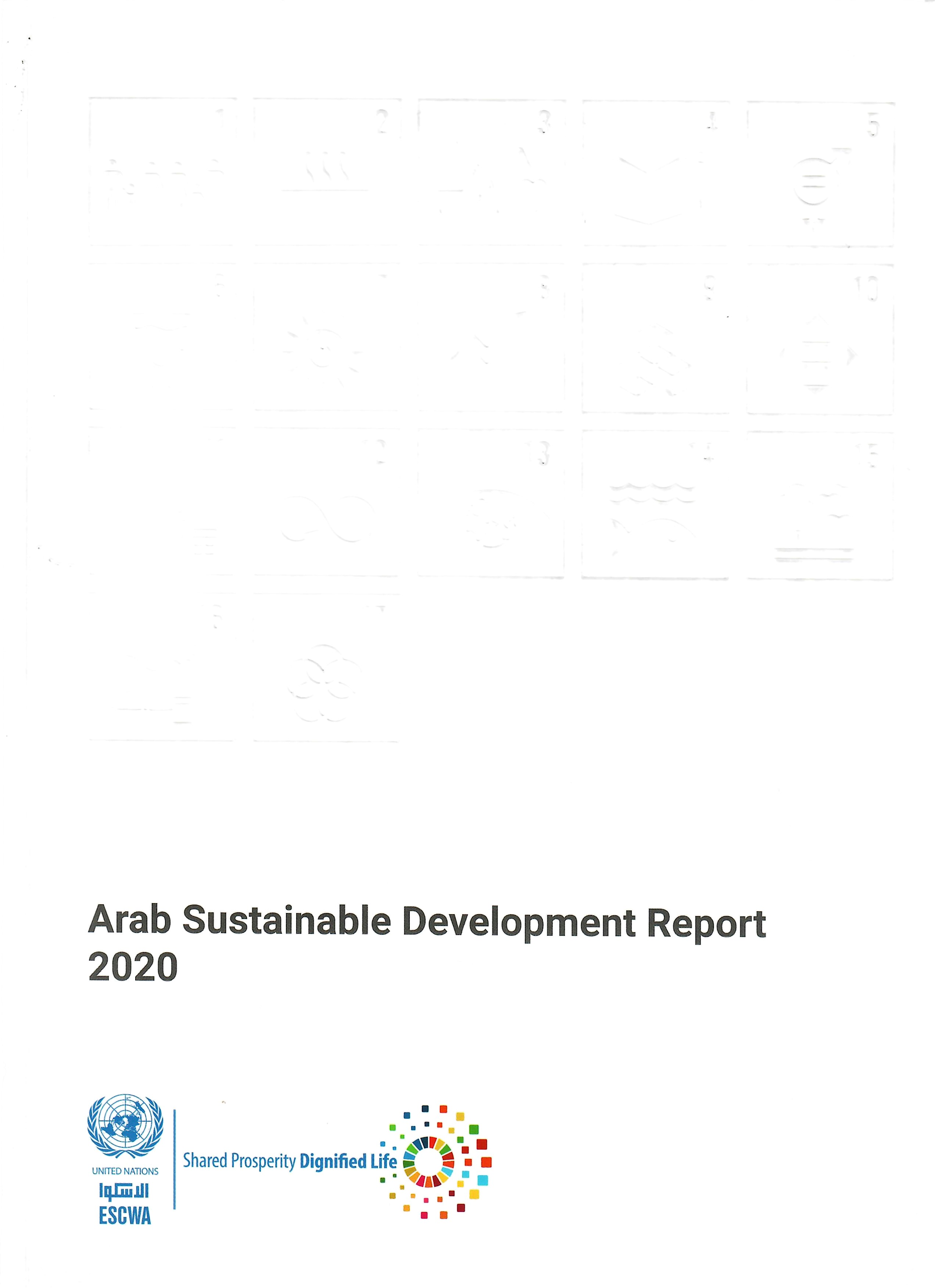 Arab Sustainable Development Report 2020