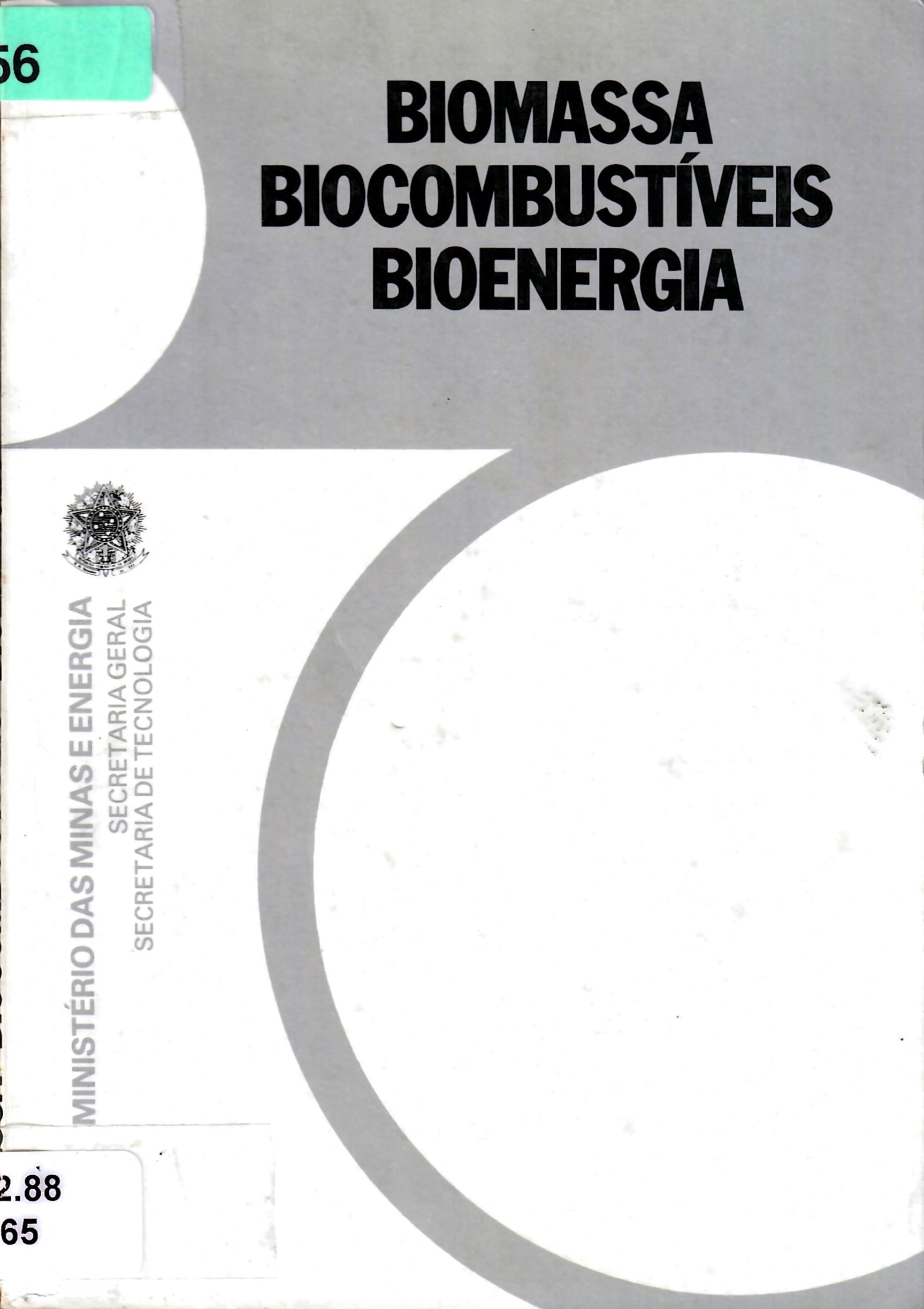 BIOMASSA BIOCOMBUSTÍVEIS BIOENERGIA