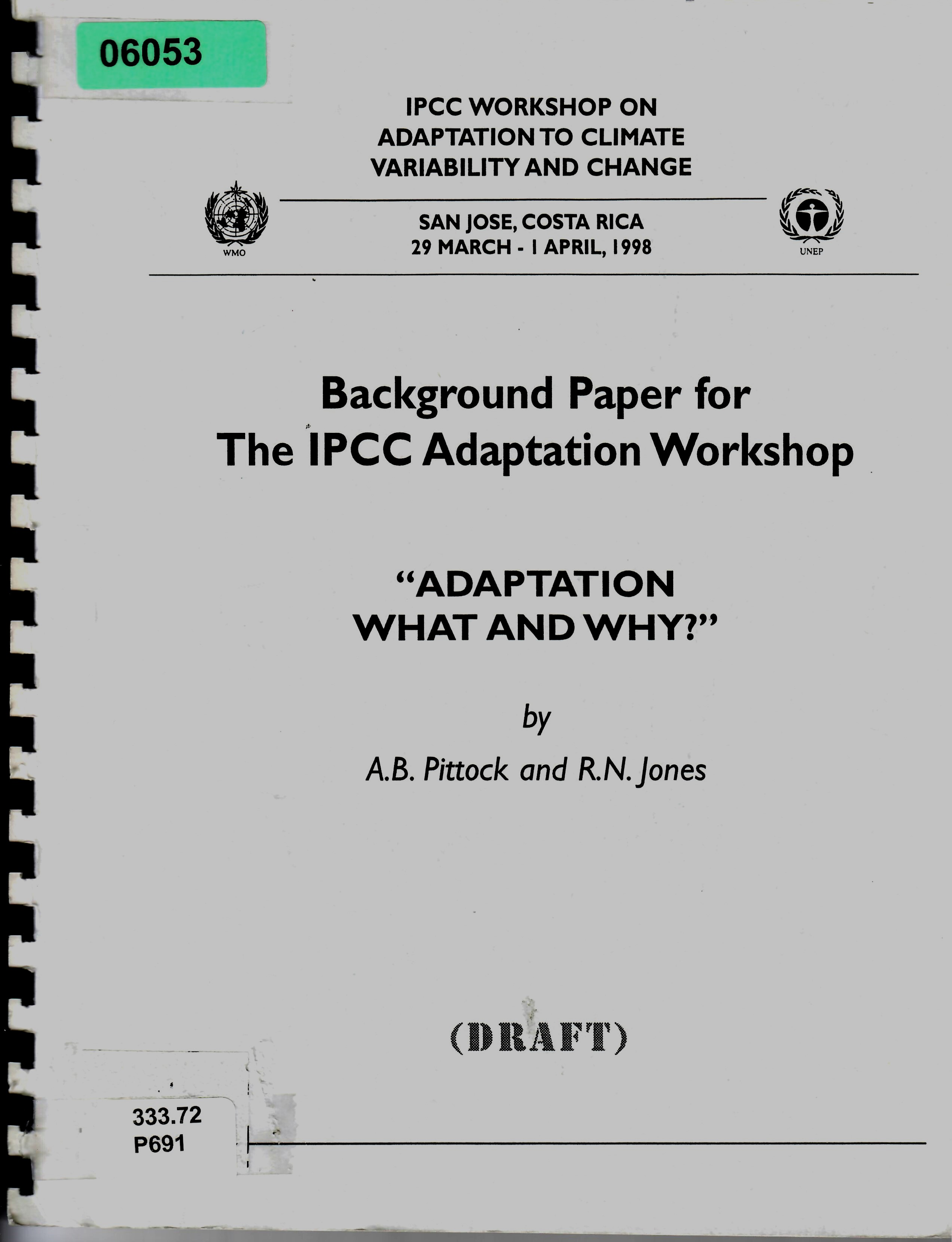 Background Paper for The IPCC Adaptation Workshop "ADAPTATION WHAT AND WHY?”