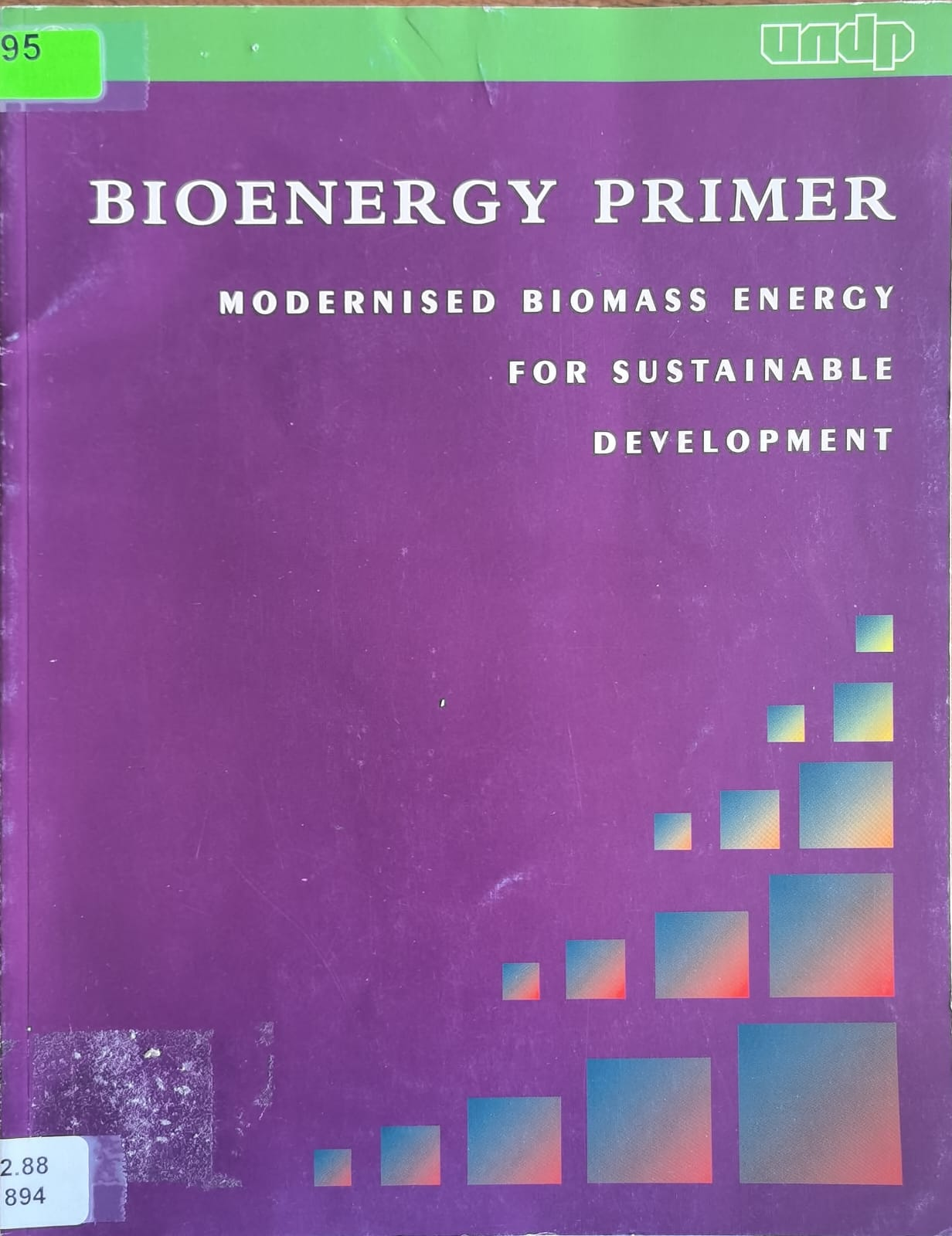 BIOENERGY PRIMER: MODERNISED BIOMASS ENERGY FOR SUSTAINABLE DEVELOPMENT