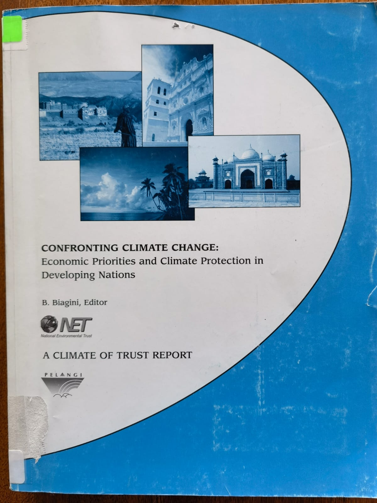 Confronting Climate Change