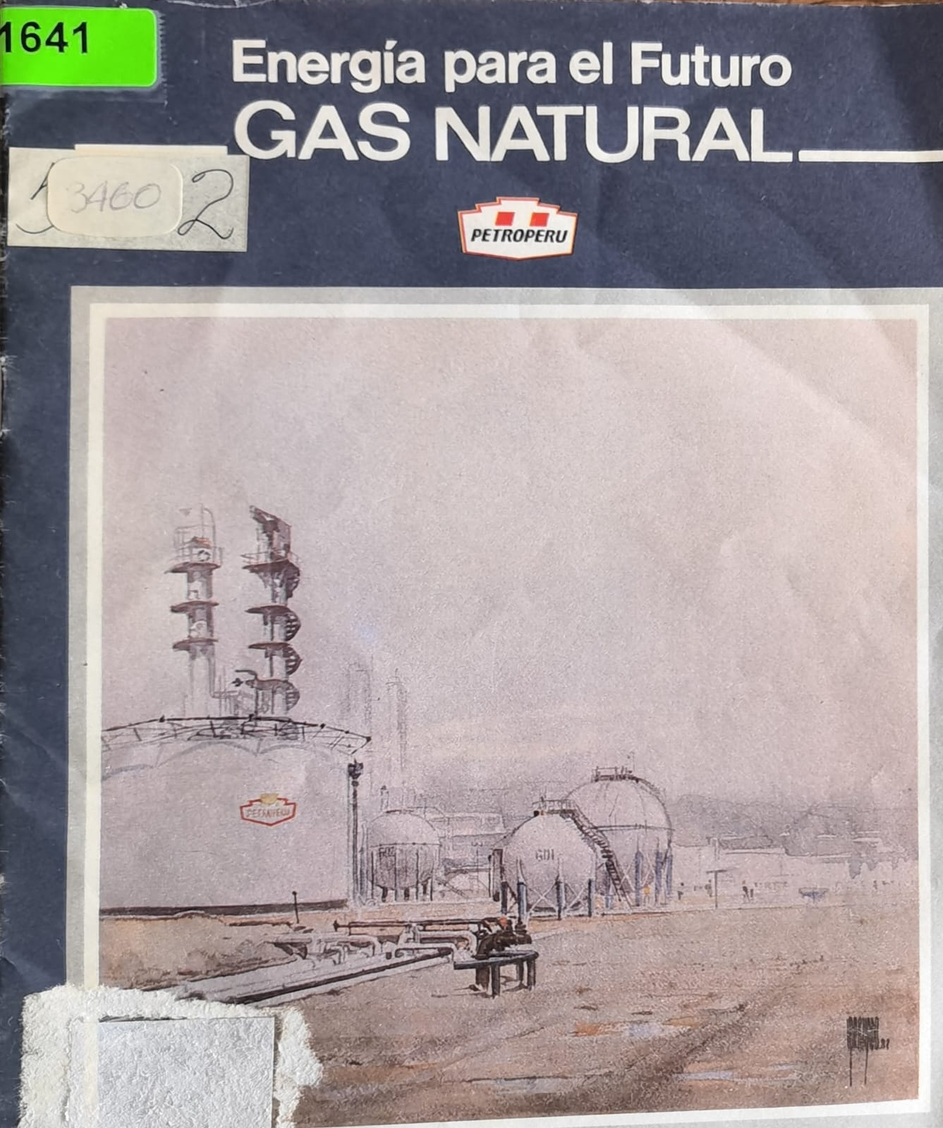 Energía para el Futuro: GAS NATURAL
