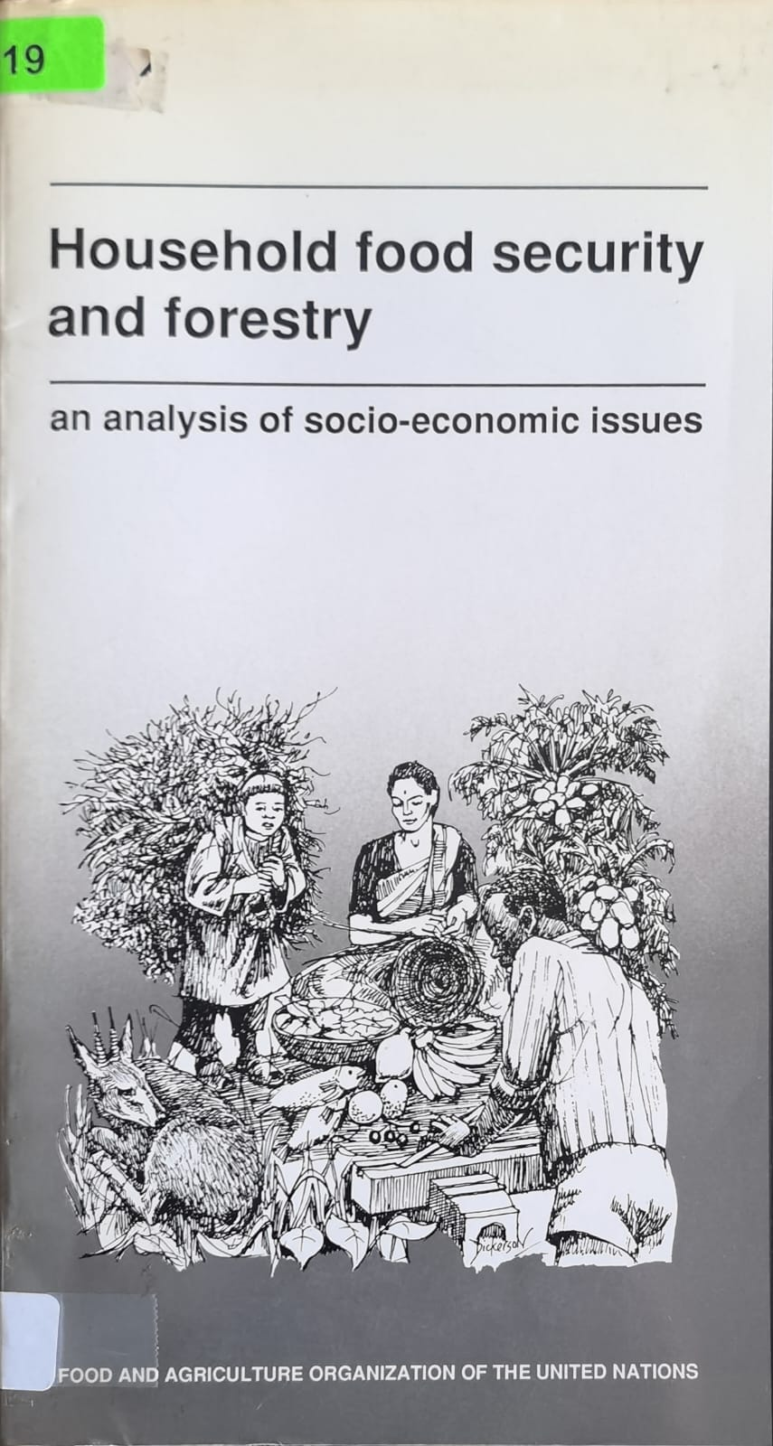 Household food security and forestry: an analysis of socio-economic issues