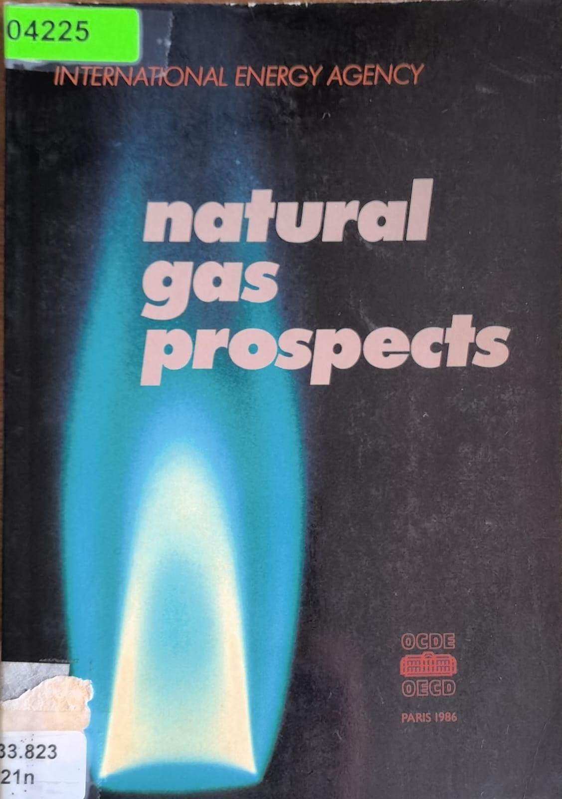 natural gas prospects