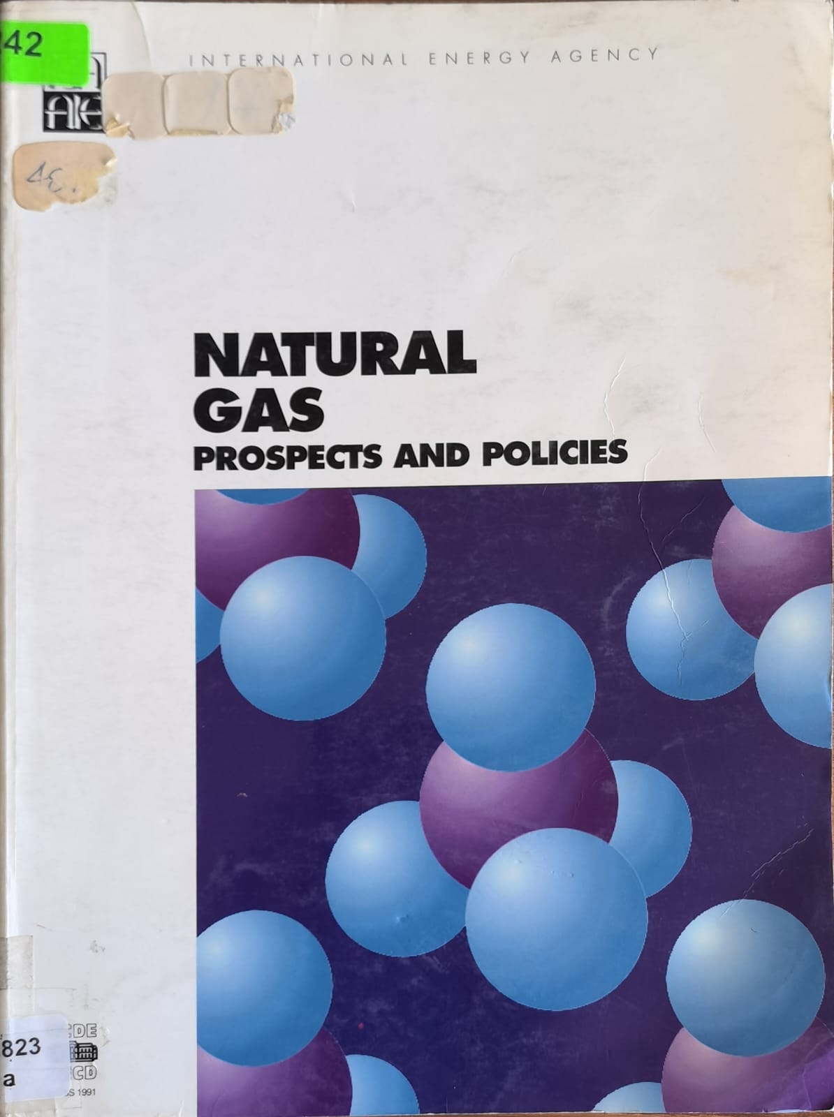 NATURAL GAS PROSPECTS AND POLICIES