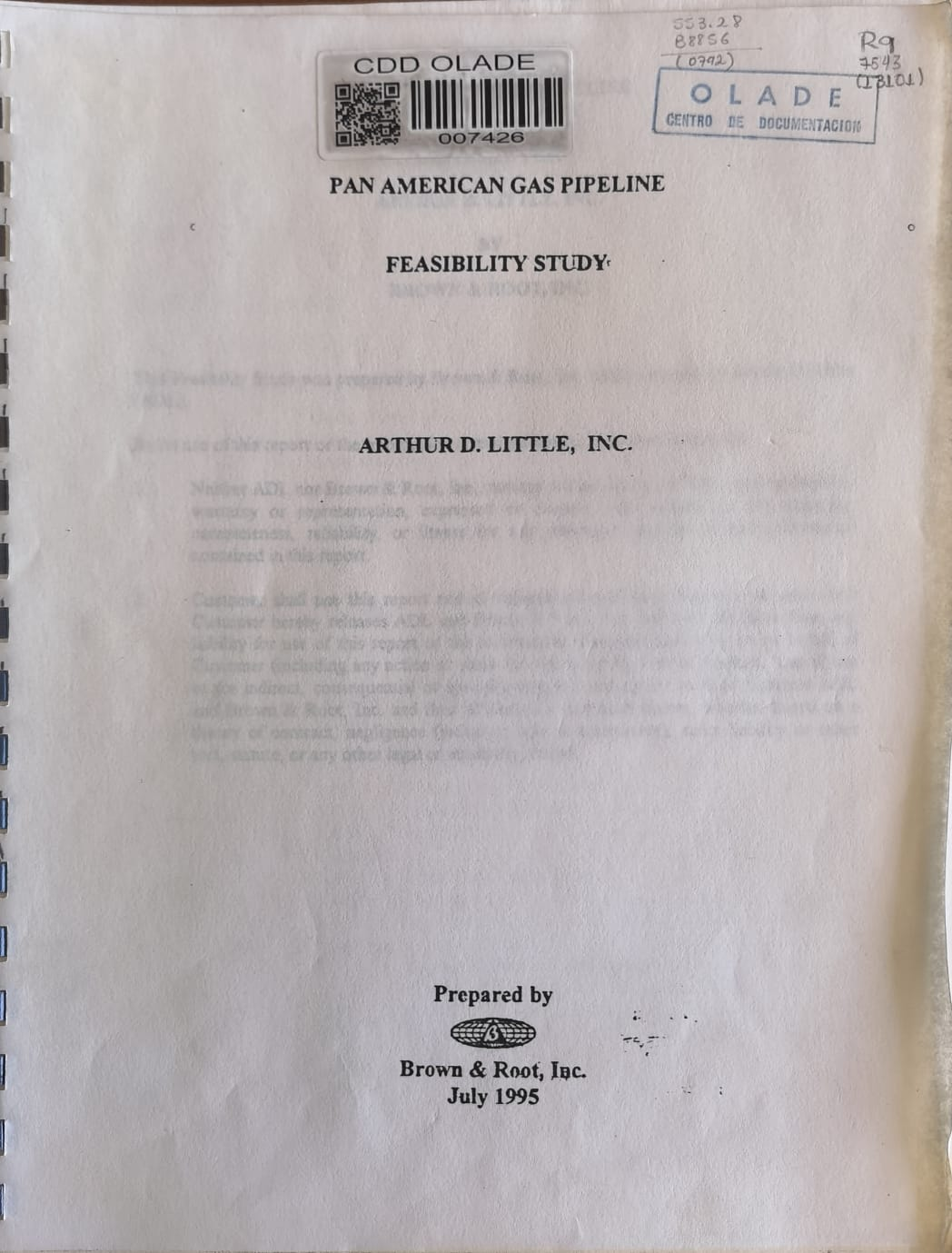 PAN AMERICAN GAS PIPELINE FEASIBILITY STUDY