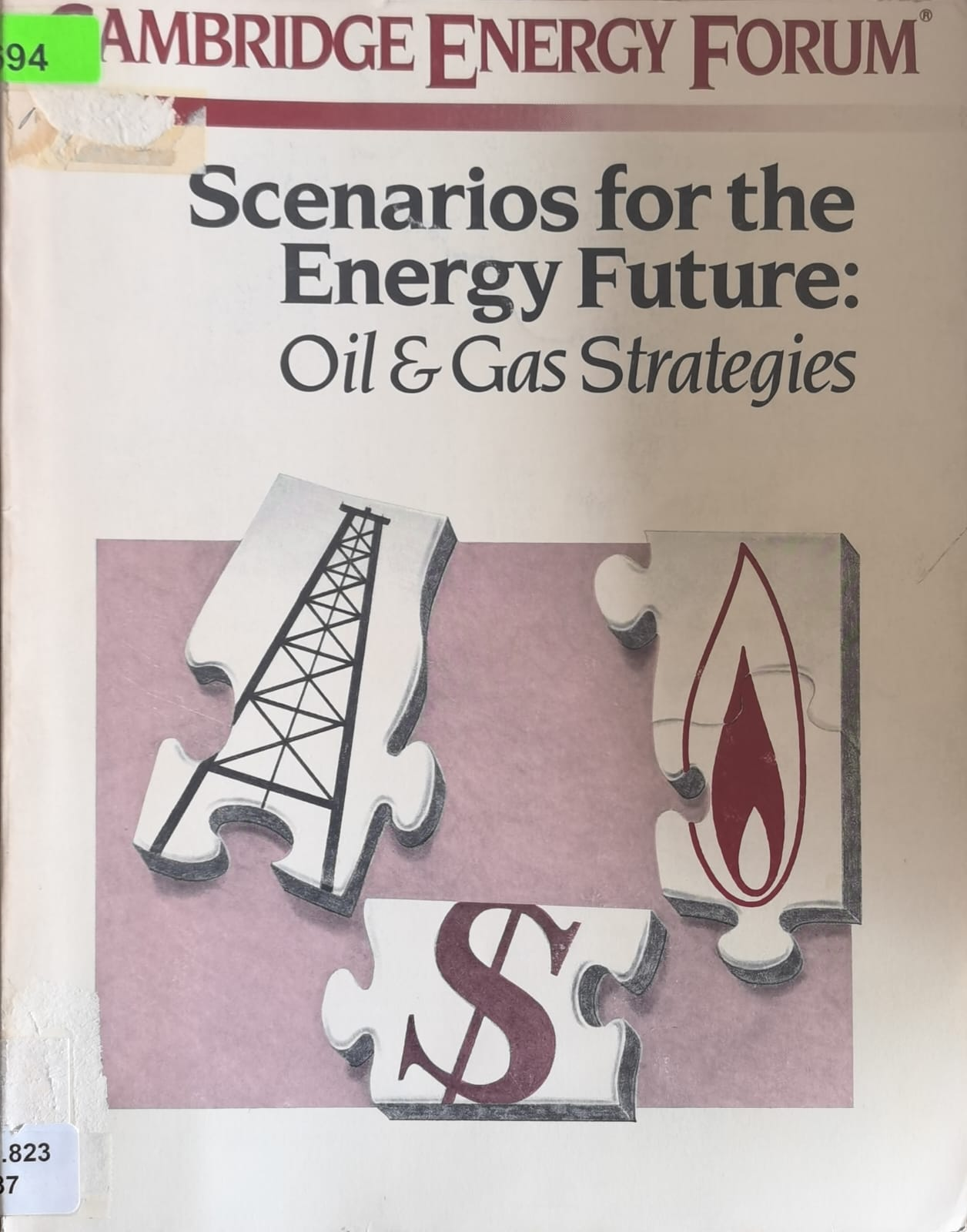 Scenarios for the Energy Future: Oil & Gas Strategies
