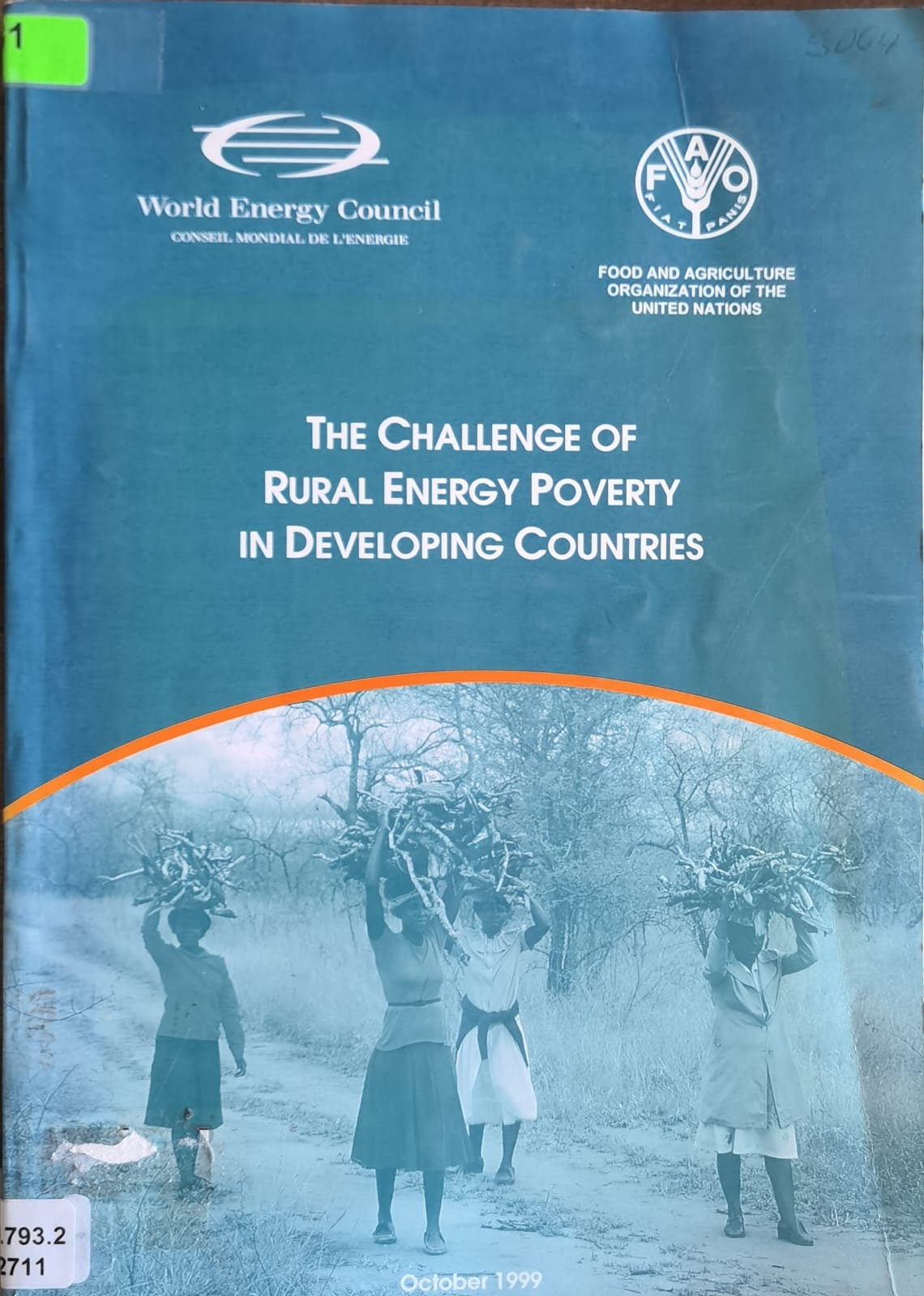 THE CHALLENGE OF RURAL ENERGY POVERTY IN DEVELOPING COUNTRIES
