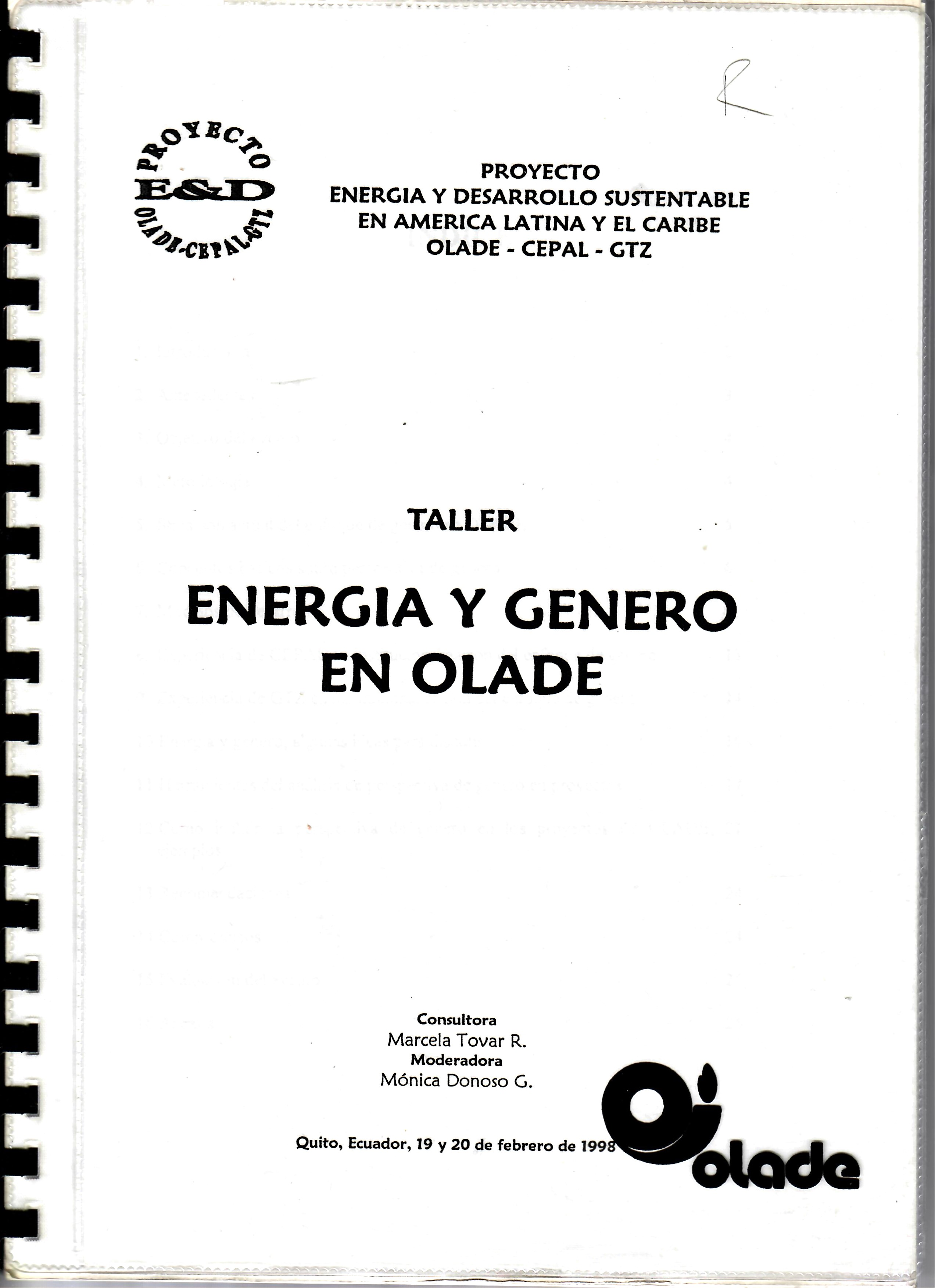 TALLER ENERGIA Y GENERO EN OLADE