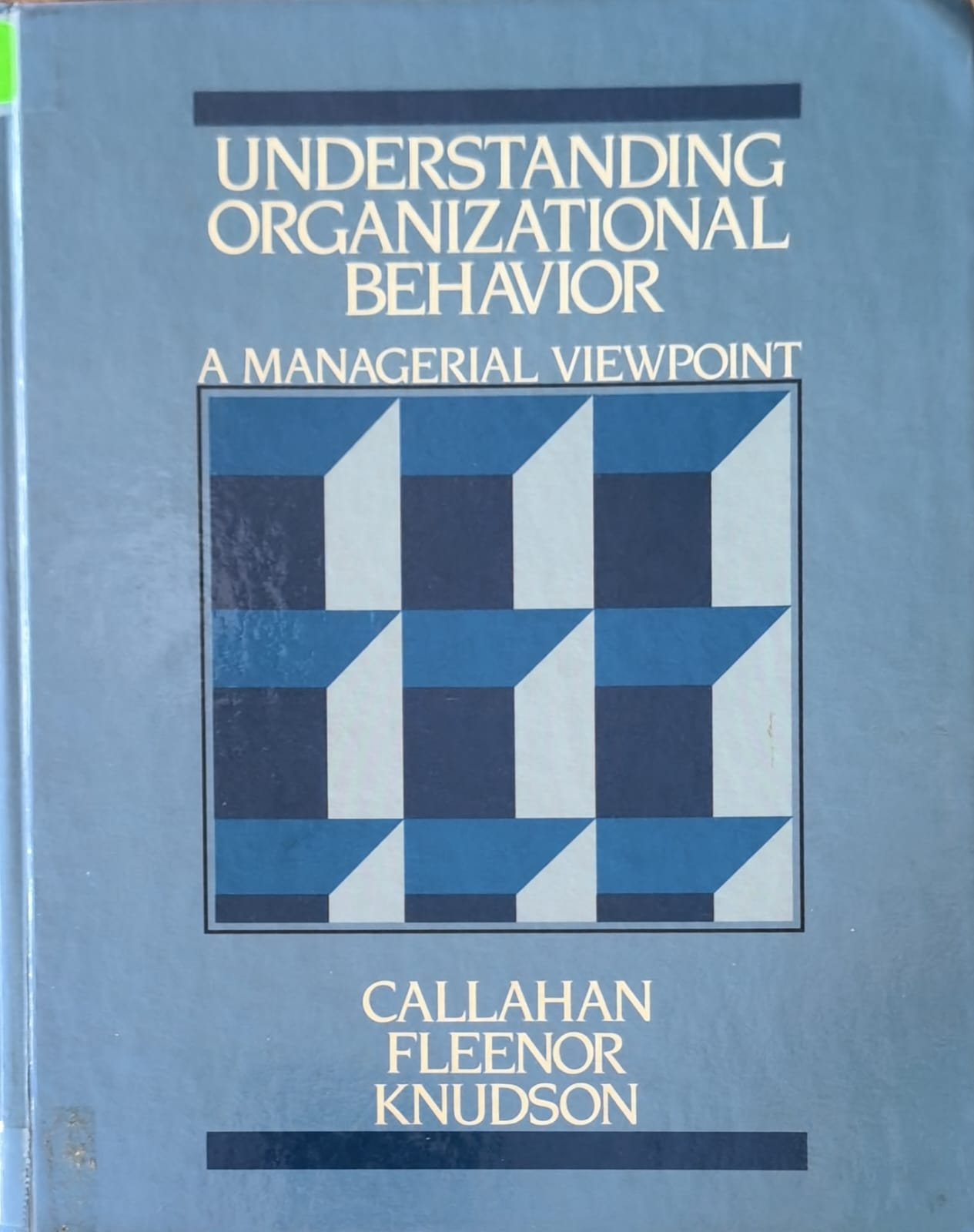 UNDERSTANDING ORGANIZATIONAL BEHAVIOR - A MANAGERIAL VIEWPOINT